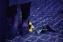 Screenshot-2020-07-16-15.42.06