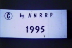 Screenshot-2020-07-16-15.44.13