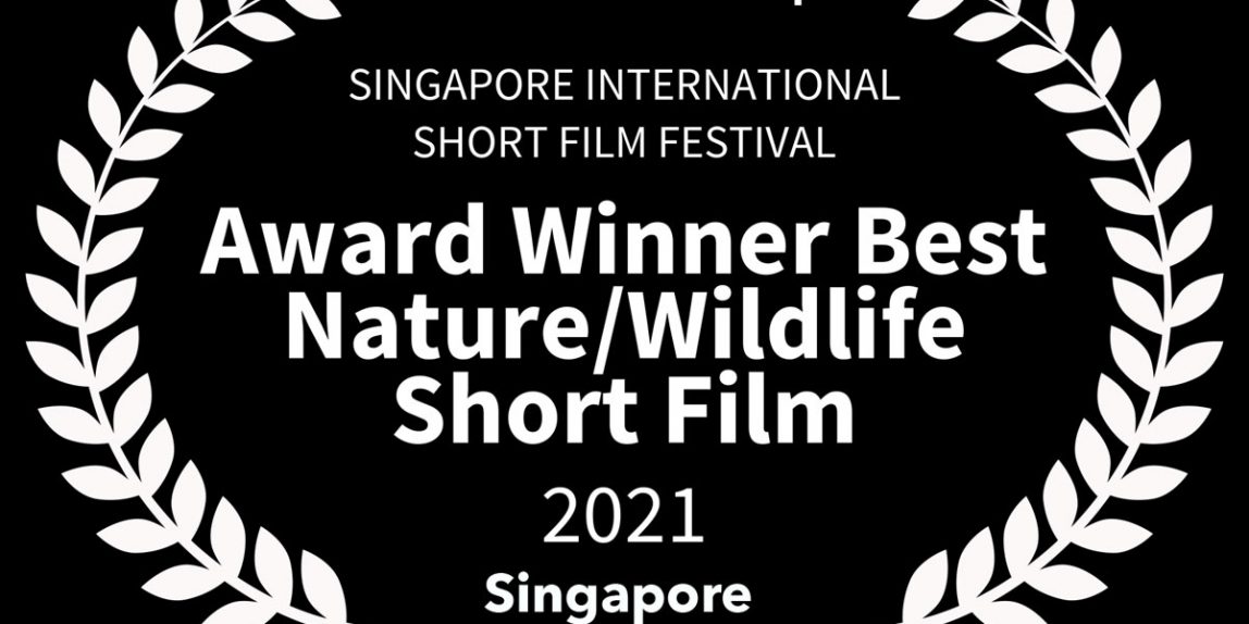 Award winner at Singapore International Short Film Festival: Best Short on Nature/Wildlife and Best Short – Lutz